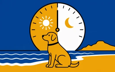 Wann dürfen Hunde auf Mallorca an den Strand?