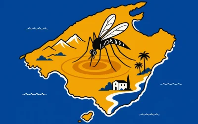 Wo gibt es die meisten Mücken auf Mallorca?